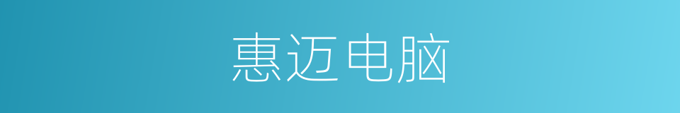 惠迈电脑的同义词