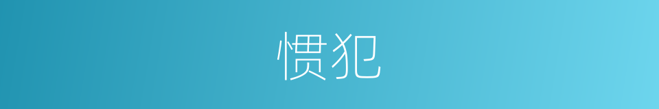 惯犯的意思
