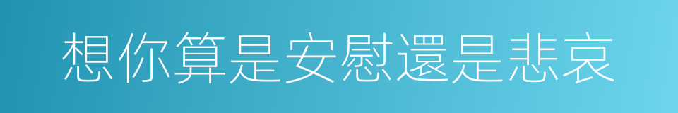 想你算是安慰還是悲哀的同義詞