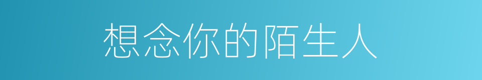 想念你的陌生人的同义词