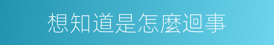 想知道是怎麼迴事的同義詞