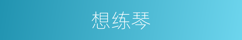 想练琴的同义词