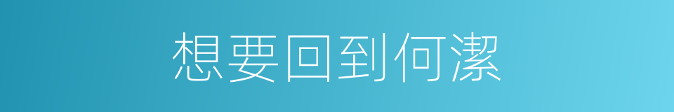 想要回到何潔的同義詞