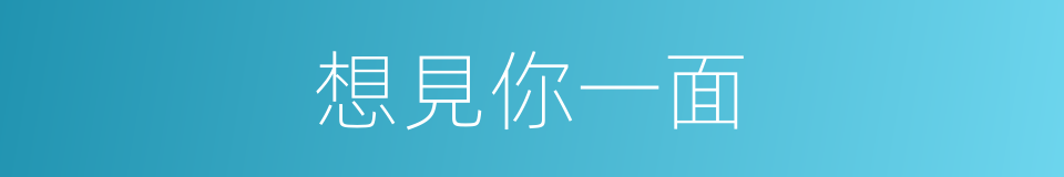 想見你一面的同義詞