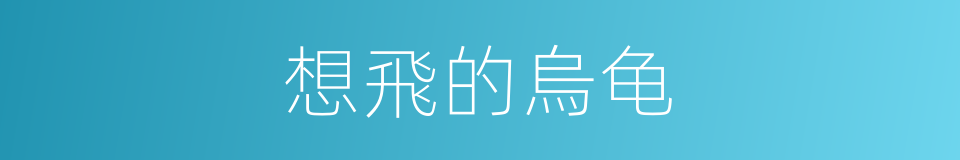 想飛的烏龟的同義詞