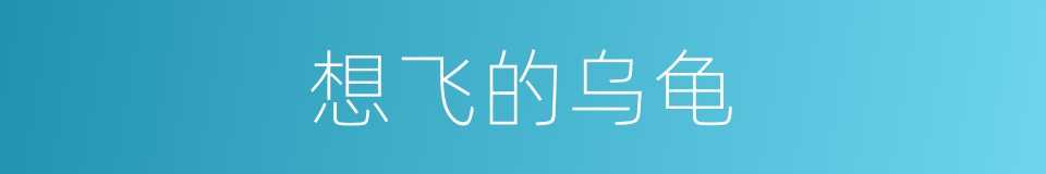 想飞的乌龟的同义词
