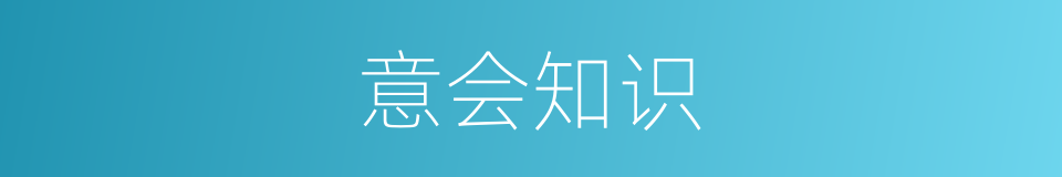 意会知识的同义词