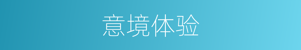 意境体验的同义词