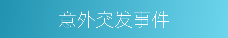 意外突发事件的同义词