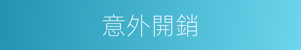 意外開銷的同義詞