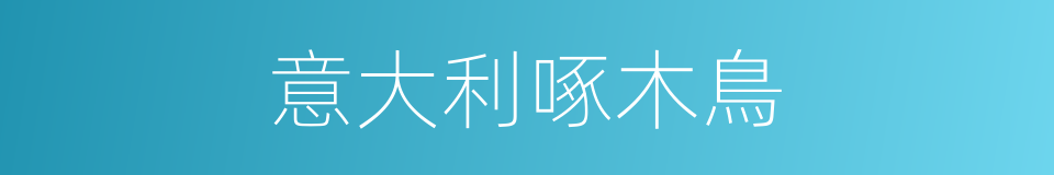 意大利啄木鳥的同義詞