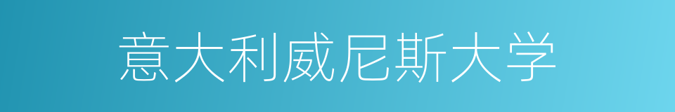 意大利威尼斯大学的同义词