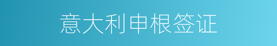意大利申根签证的同义词