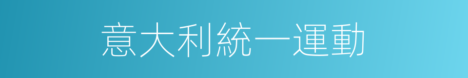 意大利統一運動的同義詞