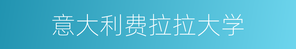 意大利费拉拉大学的同义词