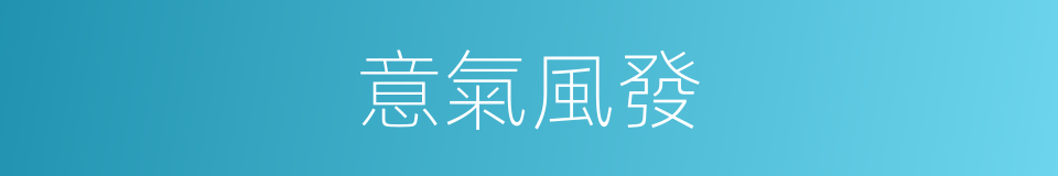 意氣風發的意思