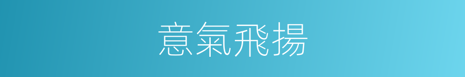 意氣飛揚的意思