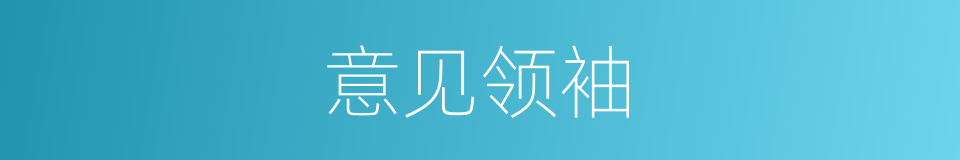 意见领袖的意思
