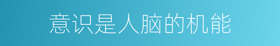 意识是人脑的机能的同义词