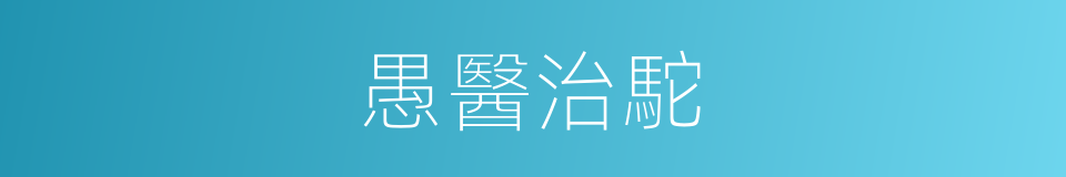 愚醫治駝的意思