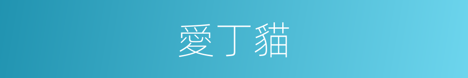 愛丁貓的同義詞