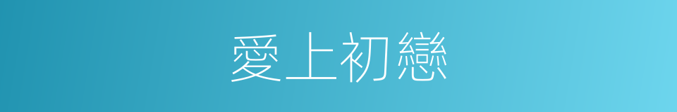 愛上初戀的同義詞