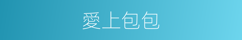 愛上包包的同義詞