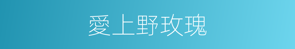 愛上野玫瑰的同義詞