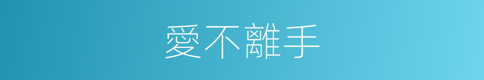 愛不離手的同義詞