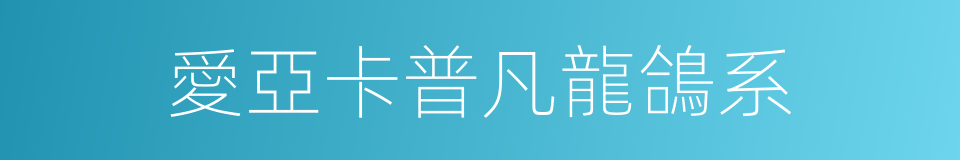 愛亞卡普凡龍鴿系的同義詞