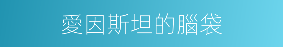 愛因斯坦的腦袋的同義詞