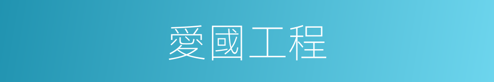 愛國工程的意思