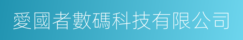 愛國者數碼科技有限公司的同義詞