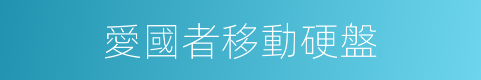 愛國者移動硬盤的同義詞