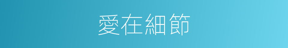 愛在細節的同義詞