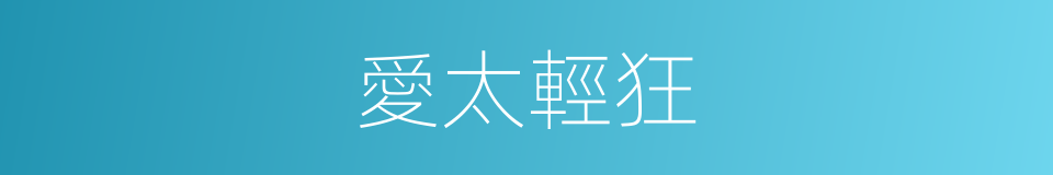 愛太輕狂的同義詞