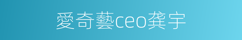 愛奇藝ceo龚宇的同義詞