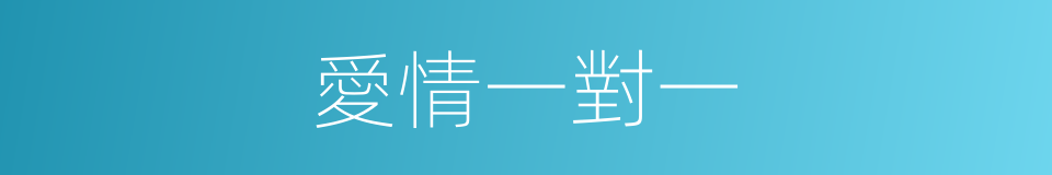 愛情一對一的同義詞