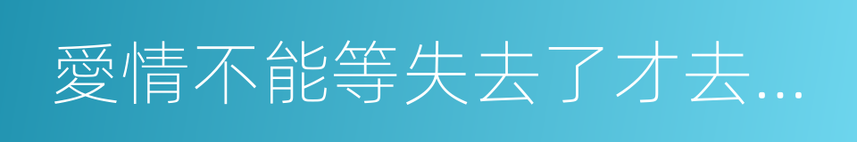 愛情不能等失去了才去珍惜的同義詞