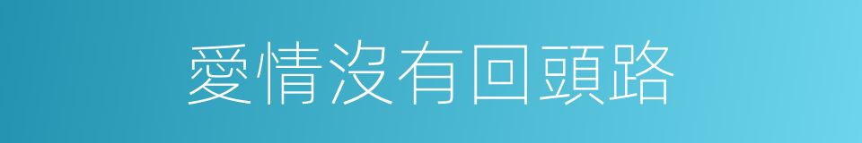 愛情沒有回頭路的同義詞