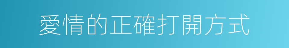 愛情的正確打開方式的同義詞