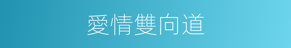 愛情雙向道的同義詞
