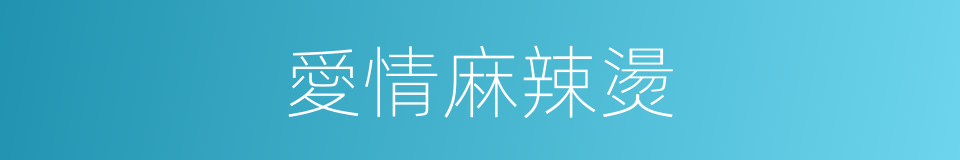 愛情麻辣燙的同義詞