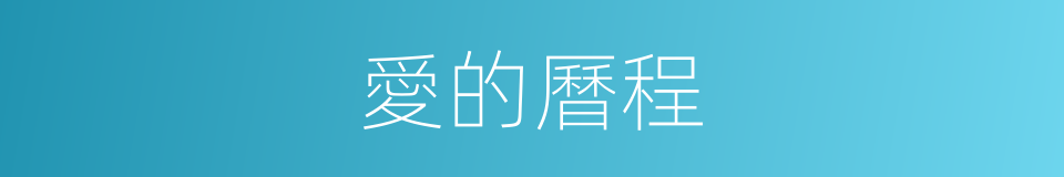 愛的曆程的同義詞