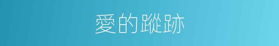 愛的蹤跡的同義詞