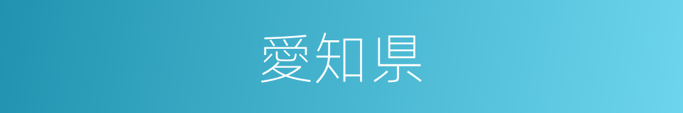 愛知県的同義詞