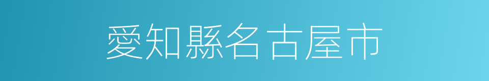 愛知縣名古屋市的同義詞