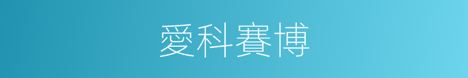 愛科賽博的同義詞