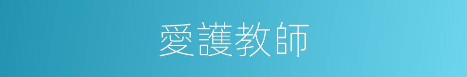 愛護教師的同義詞