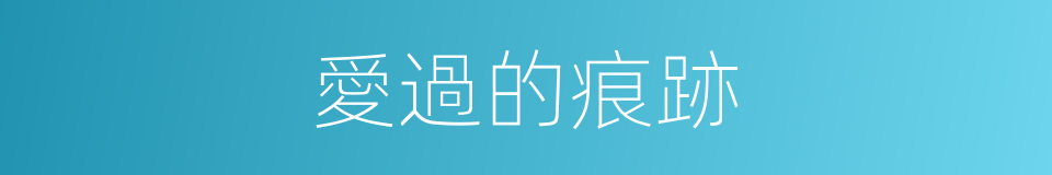 愛過的痕跡的同義詞